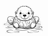 Delightful Sea Otter Coloring Sheet  Page sketch template
