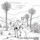 Desert Coloring Pages  Free & Printable sketch template