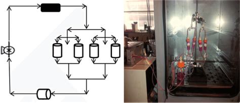 (a) The schematic diagram of bioreactor. (b) The perfusion flow ...