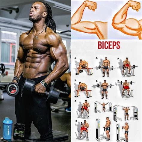 How to make bicep peaks. Arm Day. fitness. fitness motivation. men's ...