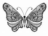 Animal Coloring Pages For Adults  Best Kids sketch template