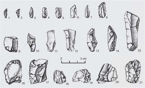 Mesolithic Stone Tools. Mesolithic | by Hamza Benbrahim | Medium