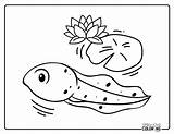 Tadpole Coloring Pages Free PDF Printables  Simply Love sketch template