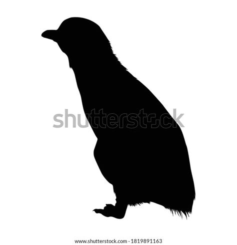 Little Penguin Tasmania: Over 1 Royalty-Free Licensable Stock Vectors ...