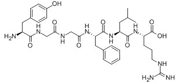 Dynorphin A (1-6) | Remetide