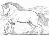 Clydesdale Horse Coloring Pages & Book For Kids sketch template