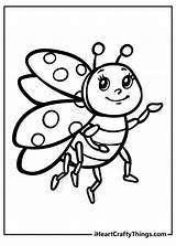 Cute Ladybug Coloring Pages For Kids sketch template