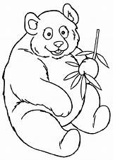 Panda Printable Coloring Pages  Customize And Print sketch template