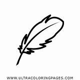 Quill Coloring Pages  Ultra Coloring sketch template