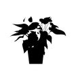 Potted plants silhouette Royalty Free Vector Image