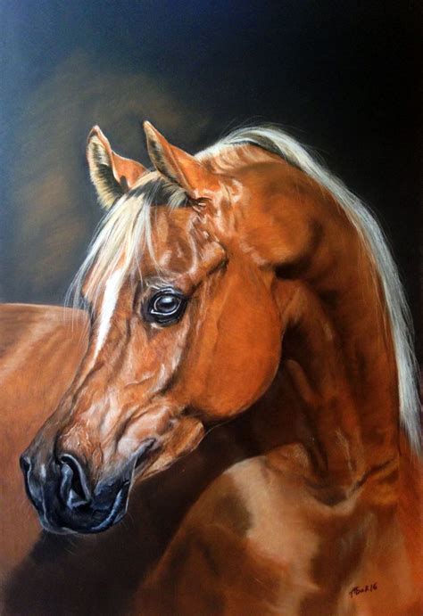 1970 best Arabian Horse Art images on Pinterest | Horse art, Arabian horses and Equine art