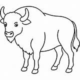 Buffalo coloring Page  Premium AI Generated Vector sketch template