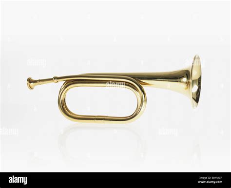 Bugle Instrument High Resolution Stock Photography and Images - Alamy