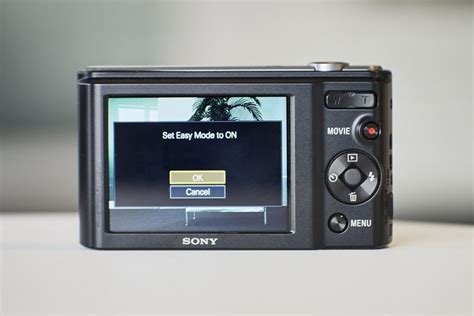 Sony DSC-W800 Review: Solid Performance, Price Point