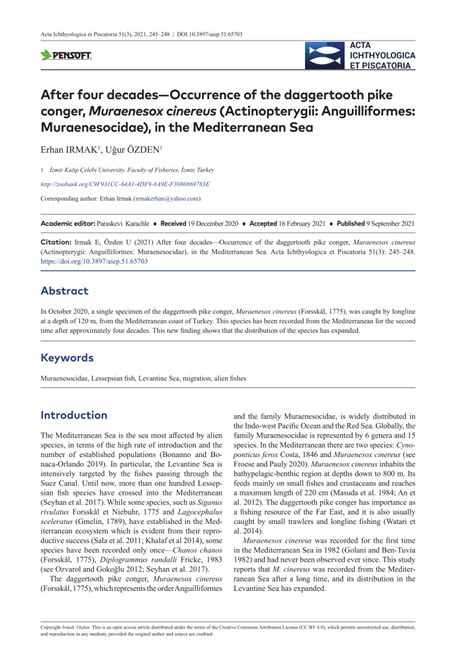 (PDF) After four decades—Occurrence of the daggertooth pike conger, Muraenesox cinereus ...