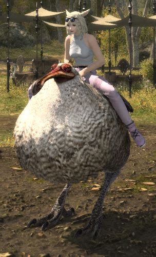 Dodo Horn - Gamer Escape's Final Fantasy XIV (FFXIV, FF14) wiki