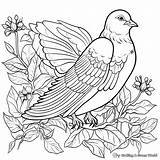 Peace Dove Coloring Pages  Free & Printable sketch template