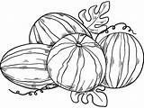 Watermelons coloring Page  ColouringPages sketch template