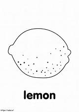 Basic Lemon coloring Page sketch template