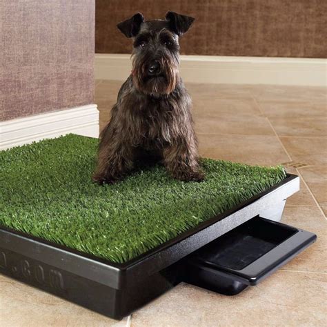 Baño Ecologico Portatil Grande Con Bandeja Perros Potty Pad - S/. 119,00 en Mercado Libre