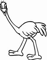 Cute Ostrich Coloring Page sketch template