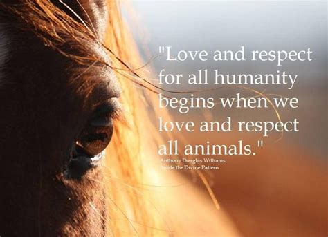 respect | Animal quotes, Animals, Love and respect