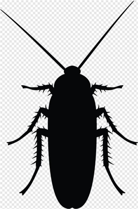 Minnesota Vikings Logo, Cockroach #451803 - Free Icon Library
