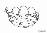 Bird’s Nest（Egg）【Coloring Page  ぴよぴよプリント sketch template