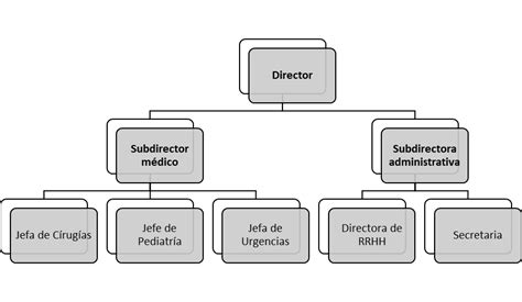 Organigrama Vertical Que Es Definicion Y Concepto 2023 Economipedia ...