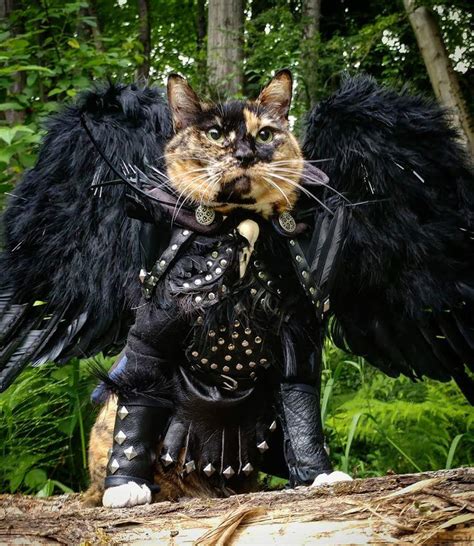 Azrael the Kitten of Death : r/goth