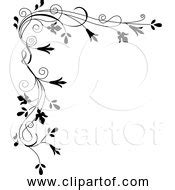 Black And White Flower Border SVG