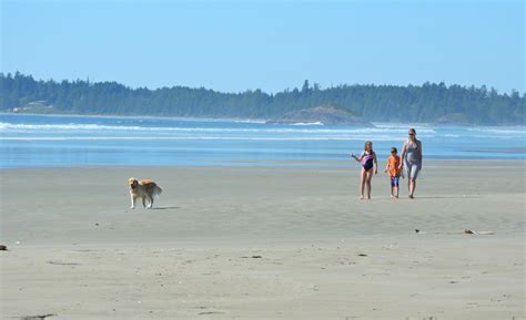 Camping Near Tofino? You'll Love Green Point Campground - Traveling ...