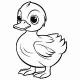 Cute Duck Coloring Page 26171445 Vector Art At Vecteezy sketch template
