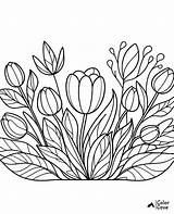 22 Free Tulip Coloring Pages – The Color Cove sketch template
