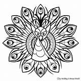 Peacock Mandala Coloring Pages  Free & Printable sketch template