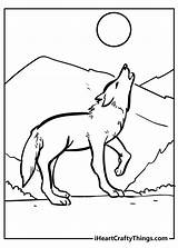 Free Wolf Coloring Pages sketch template