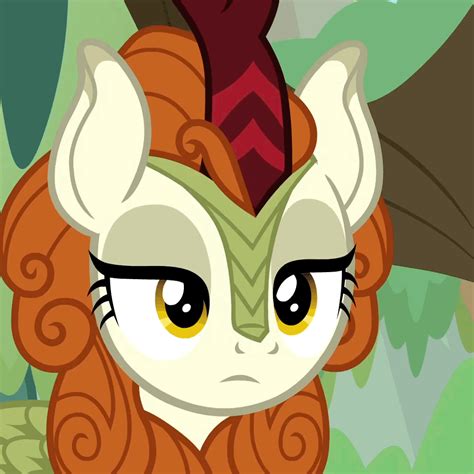 Pin on Autumn Blaze ️