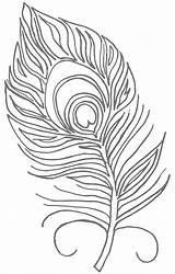 Peacock Feather Coloring Page – Printable Pages FREE sketch template