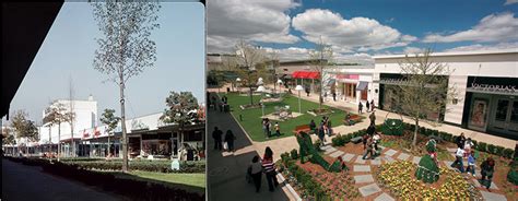 The Cross County Shopping Center, Then And Now