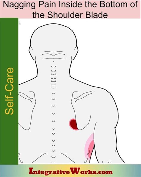 Self-Care - Nagging Pain Inside The Bottom of the Shoulder Blade - Integrative Works | Back ...