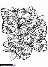 Butterflies coloring Page  Free Printable Pages sketch template