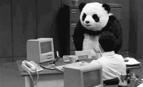 Table Flip Panda GIFs - Find & Share on GIPHY