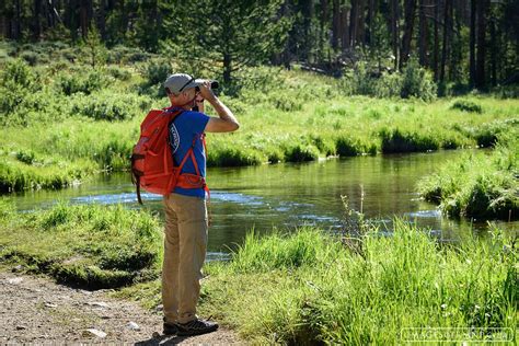 Wildlife Viewing | Images of Rocky Mountain National Park