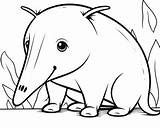 Anteater Coloring Pages  Free Printable Coloring sketch template