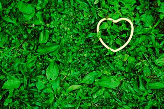 Green Heart (And the Green Grass Grows All Around, All Aro… | Flickr