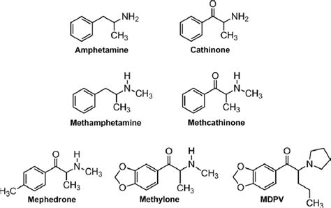 Chemical structures of cathinone, methcathinone and synthetic bath... | Download Scientific Diagram