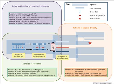 Figure 1 from What do we need to know about speciation? | Semantic Scholar