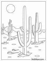 Free Printable Desert Coloring Pages Sketch Page sketch template