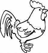 Chicken Coloring Pages sketch template