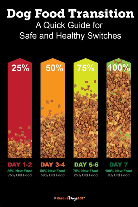 Dog Food Transition: A Quick Guide for Healthy Switches